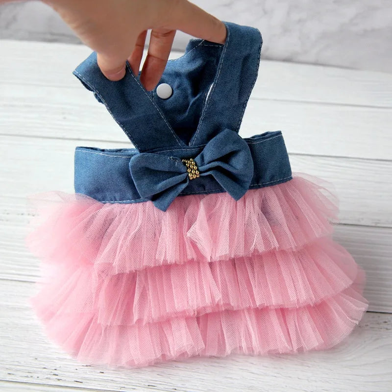 S2b1164b6845f44feaaa6e66133abe964b