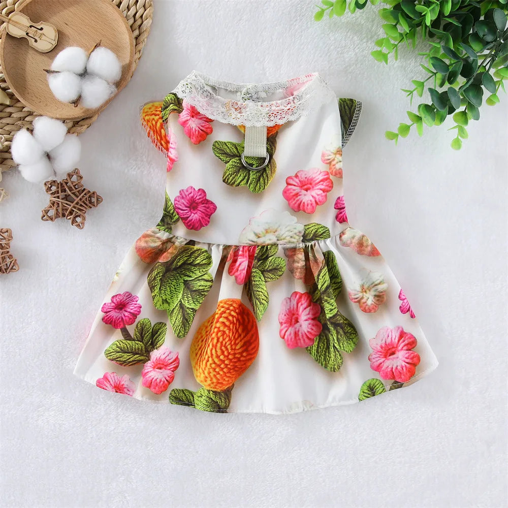 S56c6e18abf3840428c5fda35c44022faj