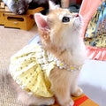 Se4ede0f097f24ba7b9a807942ee49d088